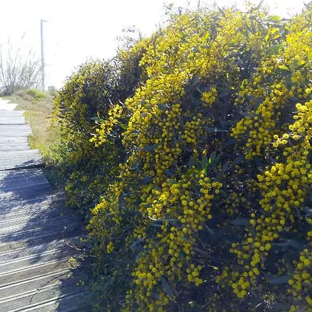 Pipo People House Óbidos